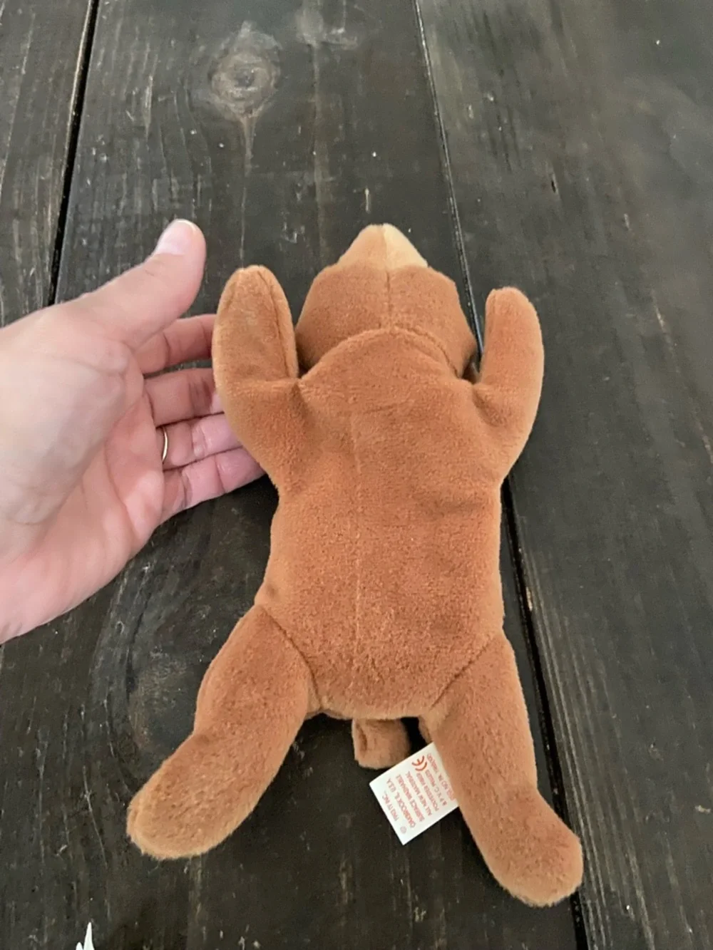 Ty Beanie Baby Cubbie - Brown
